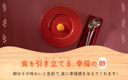 京都丹波産！府初の「農場HACCP認証」「JGAP認証」取得農場から!赤み卵黄「卵どすえ」24パック  ふるさと納税 卵 玉子 たまご 生卵 タマゴ 温泉卵 卵かけご飯 TKG 卵料理 国産卵 京都府
