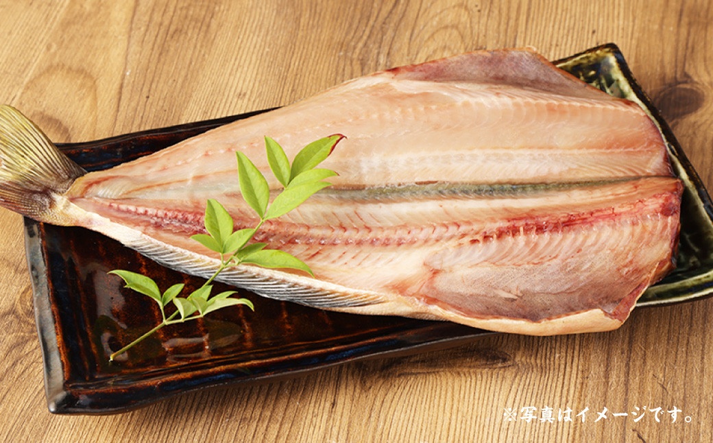 【6ヵ月定期便】迷うなら全部入れちゃう干物セット