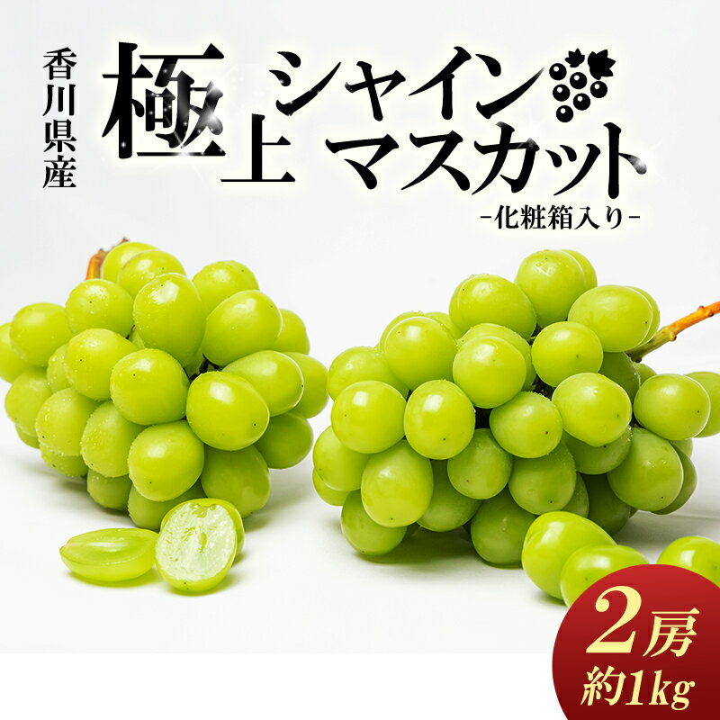 【ふるさと納税】綾川町産　極上シャインマスカット　2房（化粧箱入り）約1kg 果物 ぶどう フルーツ 葡萄 種なし 　お届け：2026年7月21日～2026年8月20日