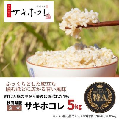 ふるさと納税 大仙市 米 令和7年産「特別栽培米 サキホコレ」5kg【玄米】【特A】|22_oks-320501 |  | 02