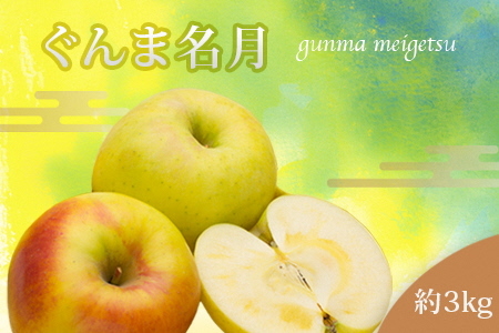 【2025年発送】山形のりんご（ぐんま名月）約3kg_H209(R7)