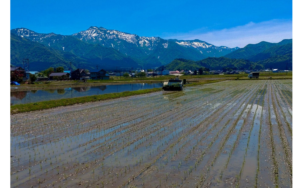 【令和7年産新米予約】南魚沼産　塩沢コシヒカリ「だすけ米」精米5kg【2025年9月中旬より順次発送予定】