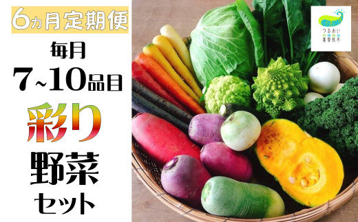 
【6ヶ月定期便】シェフ御用達！農園自慢★彩り野菜セット（７品目以上～）
