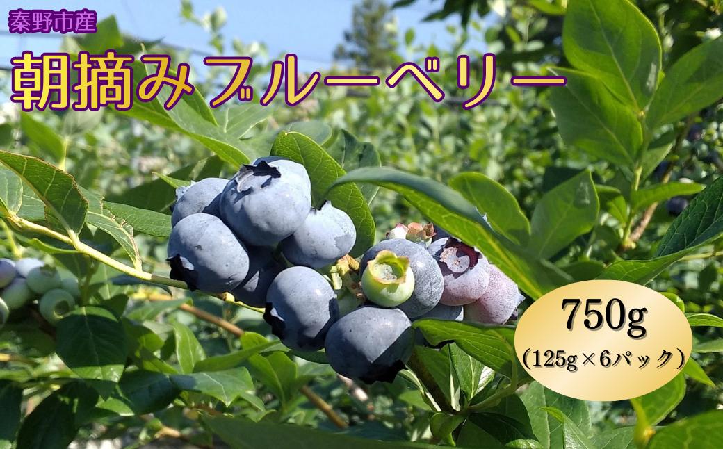 
                  【先行予約！6月から順次発送】フレッシュブルーベリー｜朝摘み 125g×6パック 果物 国産 完熟 健康 神奈川 秦野 012-24
                