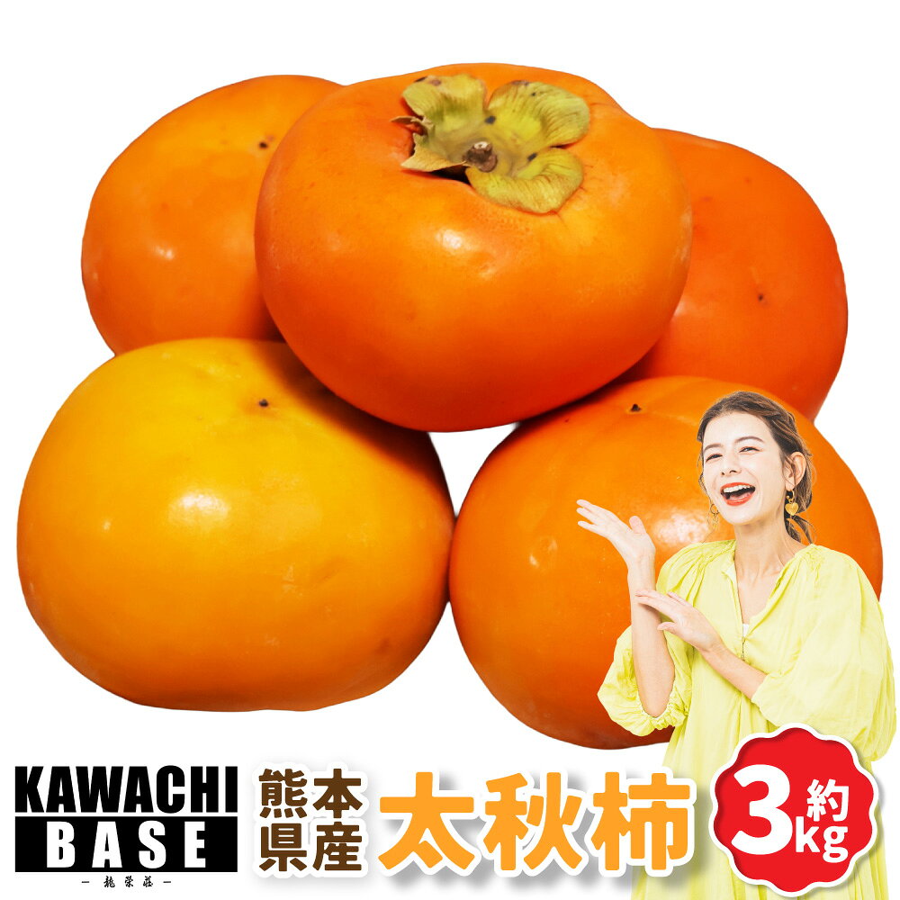 【ふるさと納税】熊本県産 太秋柿 3kg｜柿 フルーツ くだもの 果物 果実 甘い 爽やか 秋 冷蔵発送 九州 熊本県 送料無料 【2026年10月下旬発送開始】