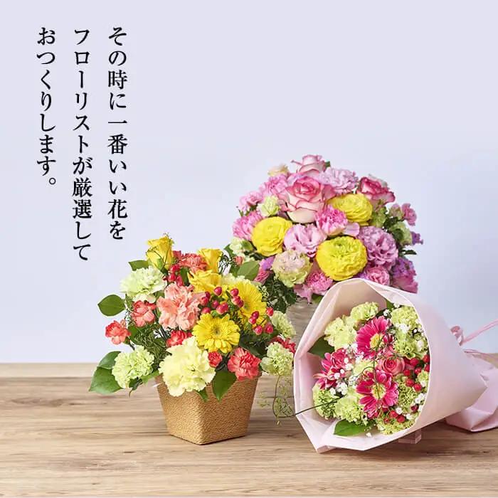 ＜定期便・6回(連続)＞季節のお楽しみブーケ(生花：Sサイズ)生花 植物 【FM-5】【フラワーショップまつだ】