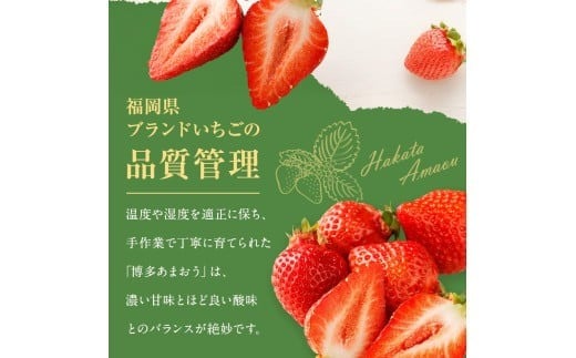 大粒セレクト！大人気のあまおう 約280g×4パック【2024年2月上旬～3月中旬お届け】福岡県産ブランドいちご _KA0275