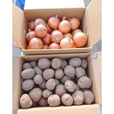 佐藤農場のじゃがいも「男爵」10kgと玉葱10kgセット【配送不可地域：離島・沖縄県】