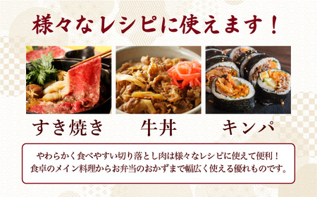 ＜定期便3回＞佐賀牛切り落とし 計3kg (1kg×3回)