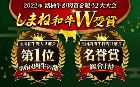 ステーキ 【全3回定期便】しまね和牛 訳ありモモステーキ 200g [AIDI014] 