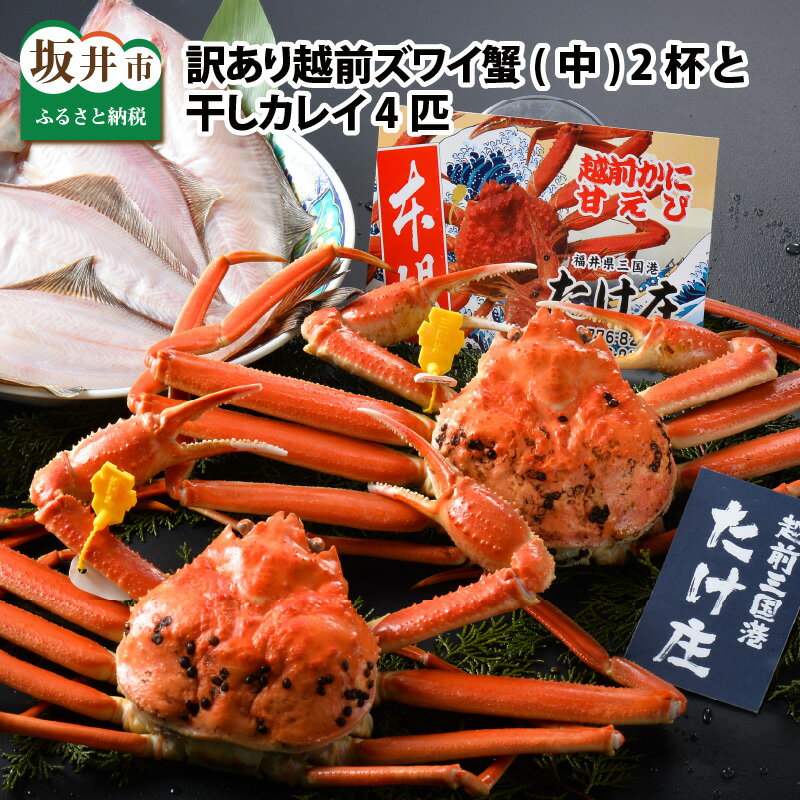 【ふるさと納税】【先行予約】訳あり かに ≪茹で≫越前ズワイ蟹(中) 2杯 と 干しカレイ 4匹【2026年1月〜3月お届け】越前がに 越前ガニ ズワイガニ 国産 県産