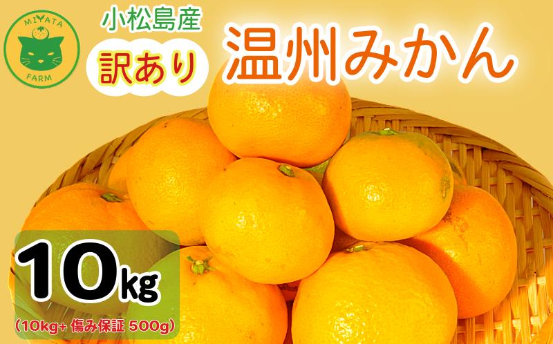 【2026年12月発送】 訳あり みかん 温州みかん10kg（10kg+傷み保証500g） ミカン 蜜柑 甘い フルーツ 柑橘 ジュース 小松島市 オススメ 人気 ふるさと納税 10kg