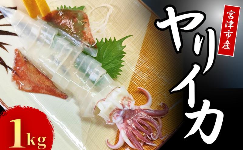 
                  京都宮津産 新鮮ヤリイカ 刺身用 冷凍 約1kg │ 日本海 鮮度 いか 刺し おつまみ いか刺身 烏賊 刺身 父の日 ギフト 天橋立[№5716-0830]
                