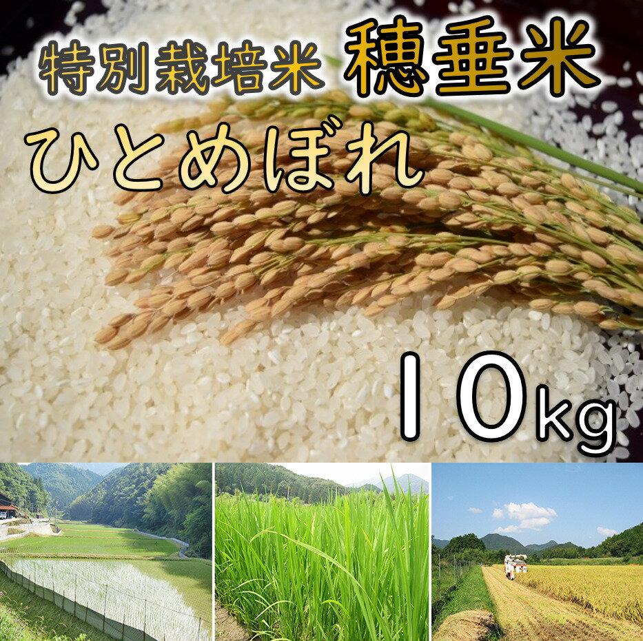 【ふるさと納税】米 精米 白米 特別栽培米 穂垂米　「ひとめぼれ」 10kg　(1265)