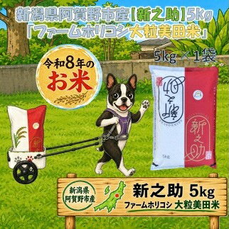 【ふるさと納税】【令和8年産新米予約】阿賀野市産新之助「ファームホリコシ 新之助」5kg 白米 精米 新潟県 米 こめ コメ 数量限定 1週間以内に発送可 9月下旬～10月上旬頃より発送開始予定