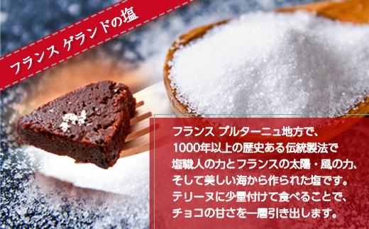 無地熨斗 テリーヌ・ド・ショコラ フランスゲランド塩付き 1本 テリーヌ ショコラ 濃厚 チョコレート チョコ 塩 洋菓子 焼き菓子 お菓子 スイーツ 贈り物 ギフト エイセンドウ 新潟県 南魚沼市