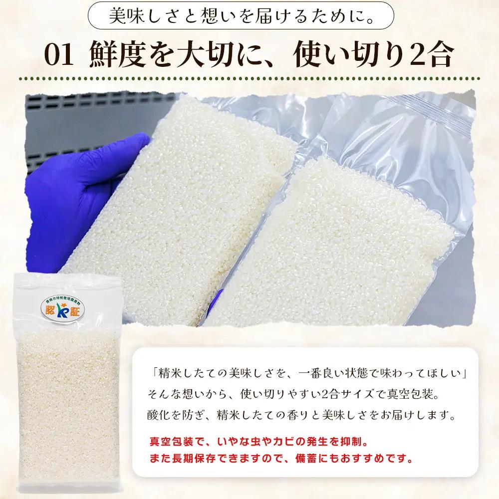 【令和８年度産】 米（コシヒカリ） 2合（300g) ×20 真空パック 小分け ke-0064