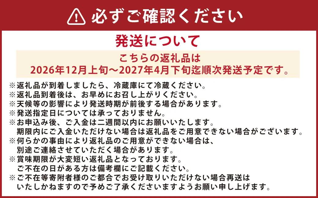 ＜ R8年熊本地震復興支援 ＞絢音ベリー農園 絢 いちご 紅ほっぺ 1kg （250g×4パック） 苺 先行予約 熊本県 フルーツ 厳選 【2026年12月上旬～2027年4月下旬迄順次発送予定】