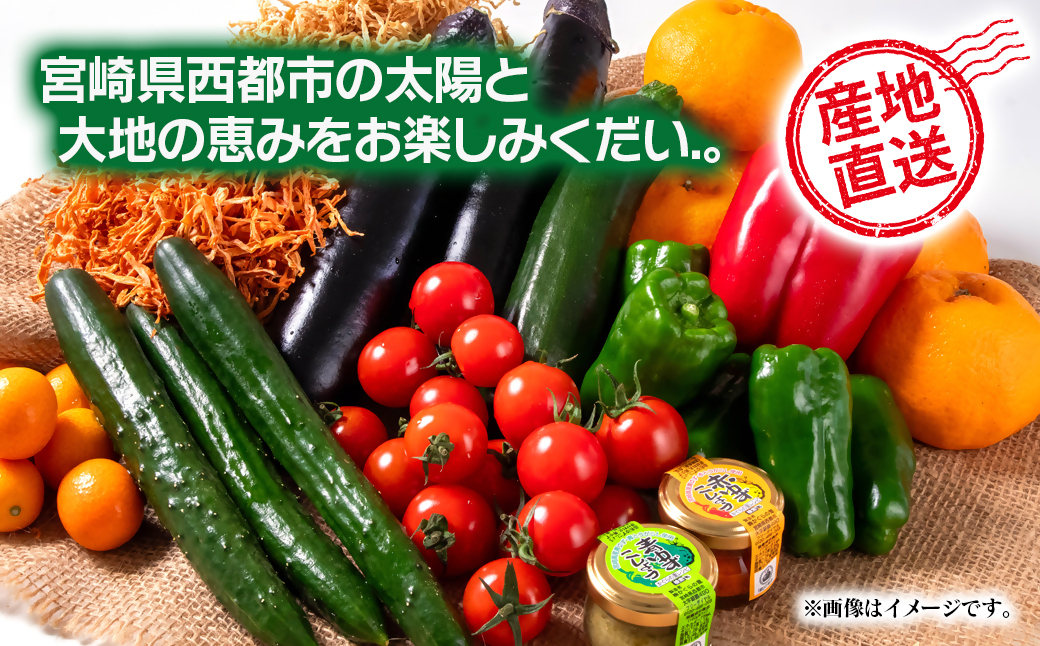 【3回定期便】西都市旬の特産詰め合わせセット 野菜・スイートコーン等＜32-4a＞野菜