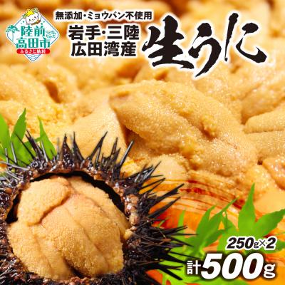 ふるさと納税 陸前高田市 【先行受付】 三陸産 生うに 500g(250g×2パック) 塩水パック 無添加 ミョウバン不使用