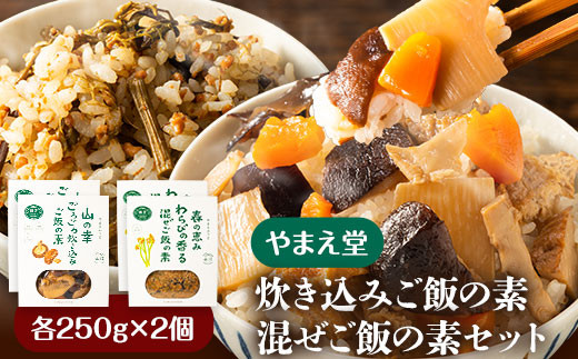 
                  炊き込みご飯の素 混ぜご飯の素セット 各250g×2個 有限会社 やまえ堂 《30日以内に出荷予定(土日祝除く)》山の幸 たけのこ 竹の子 筍 しいたけ きくらげ わらび 炊き込みご飯 混ぜ込みご飯 送料無料
                