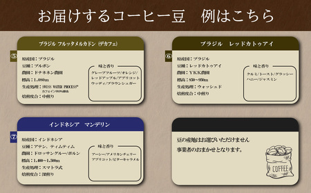 庭Cafe おすすめコーヒー豆 100g × 3種 【 コーヒー 自家焙煎 焙煎 コーヒー豆 おすすめ ギフト ｺｰﾋｰ 珈琲 ｺｰﾋｰ 】