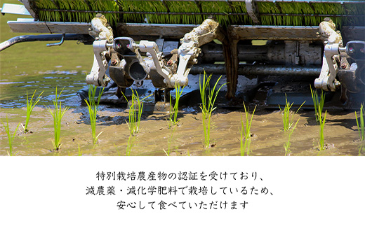 特別栽培棚田米「蕨野」5kg×４袋(合計20kg) 家庭排水が一切入らない自然水で作られたお米 10日に1回精米で新米のような味わい