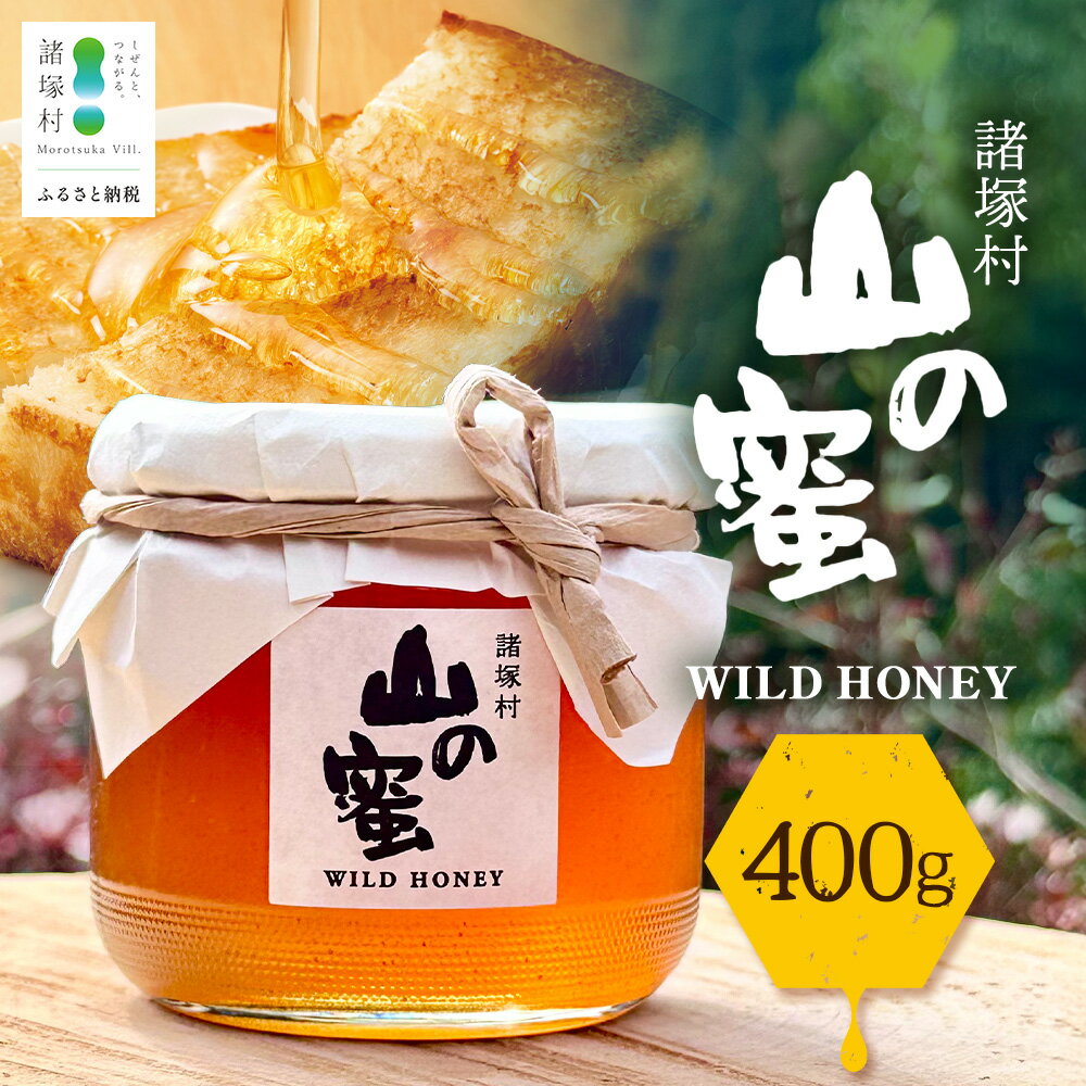 【ふるさと納税】はちみつ 山の蜜 400g×1本 冷蔵｜国産 蜂蜜 百花蜜 ニホンミツバチ 希少 自然養蜂 瓶 もろっこはうす 宮崎県 諸塚村 MO-02