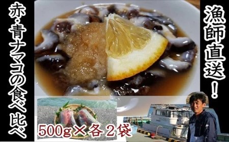 ナマコ 修福丸ん赤・青ナマコの食べ比べ！