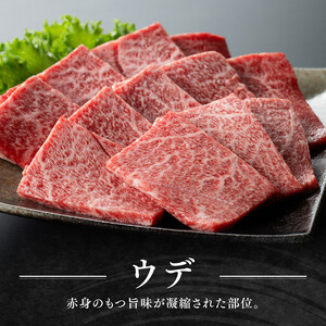 宮崎牛 赤身 霜降り 焼肉 2種 400g【肉 牛肉 牛 国産 宮崎県産 黒毛和牛 牛 和牛 焼肉 牛 やきにく BBQ 4等級  A4ランク うで 肩ロース ロース  E11105】