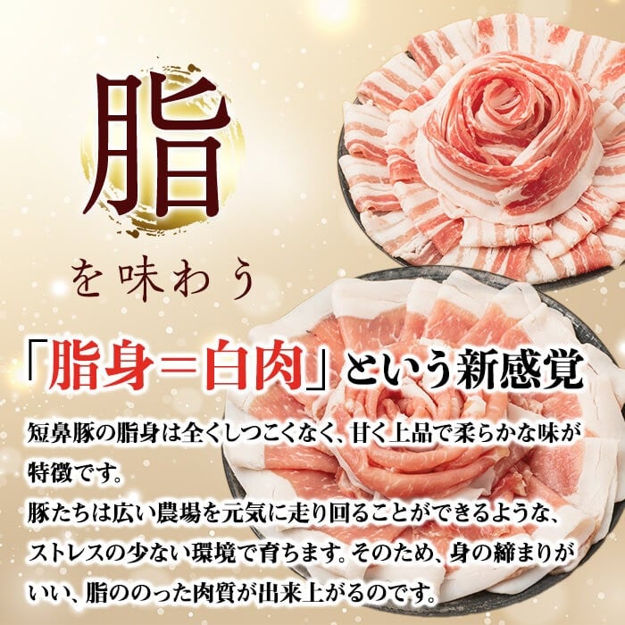 【無添加】【ギフト対応】「福別府農場」 鹿児島黒豚炭火焼豚 約200g a0-373