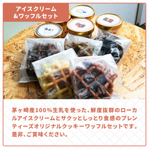 プレンティーズ アイスクリーム＆ワッフルセット 各5個 計10個 アイス バニラ 生チョコ ストロベリー クリームチーズ ミルク オリジナルクッキーワッフル ダブルショコラ アールグレイ チョコレート