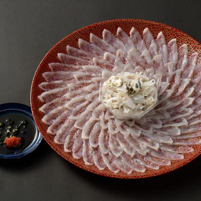 ふるさと納税 長門市 【2026年1月中旬より順次発送】とらふぐ刺身5-6人前 |  | 01