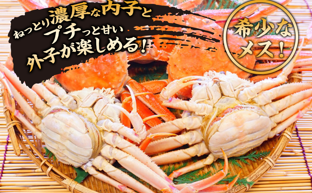 北海道産【朝ゆで】訳ありオオズワイガニ メス(小) 1.0kg詰 子持ち 内子 外子 道産品 オオズワイ カニ 蟹 規格外品 不揃い 訳アリ 訳有り