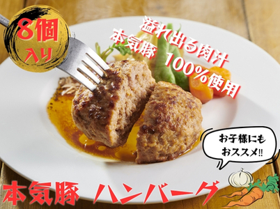 本気豚使用 ハンバーグ８個入