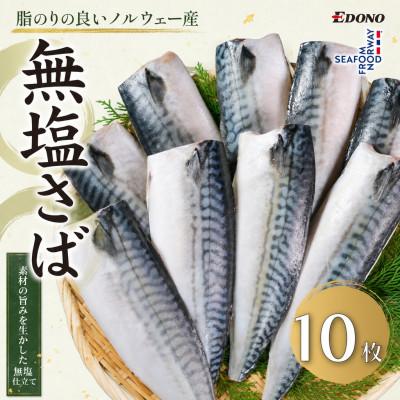 ふるさと納税 銚子市 無塩さば 10枚