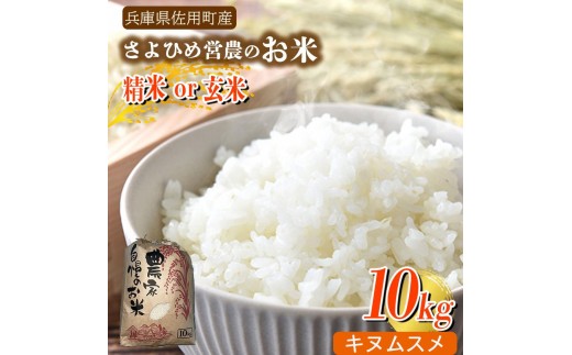 【兵庫県佐用町産】さよひめ営農のお米 10kg キヌムスメ/玄米