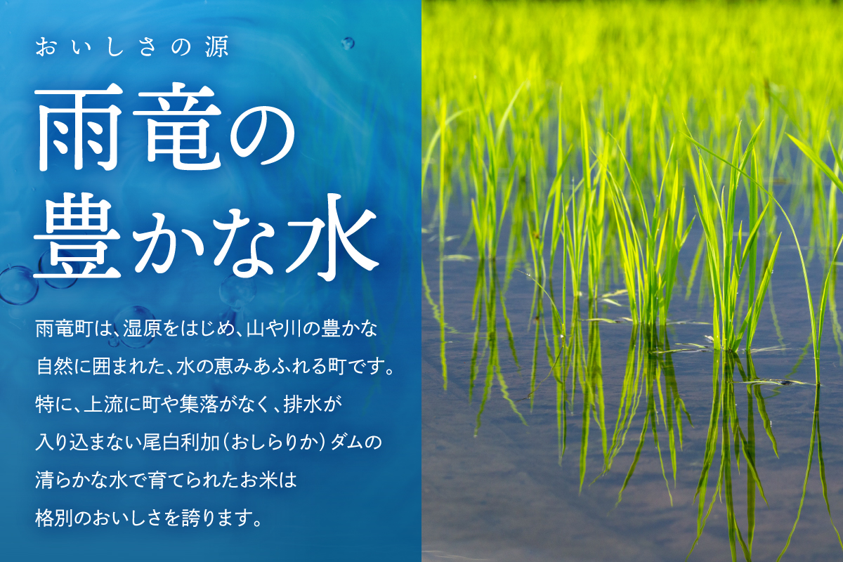 令和7年産 金王冠 精米 雨竜町ななつぼし 10kg(5kg×2) 北海道 おにぎり お弁当 特A おいしい R7U013-002