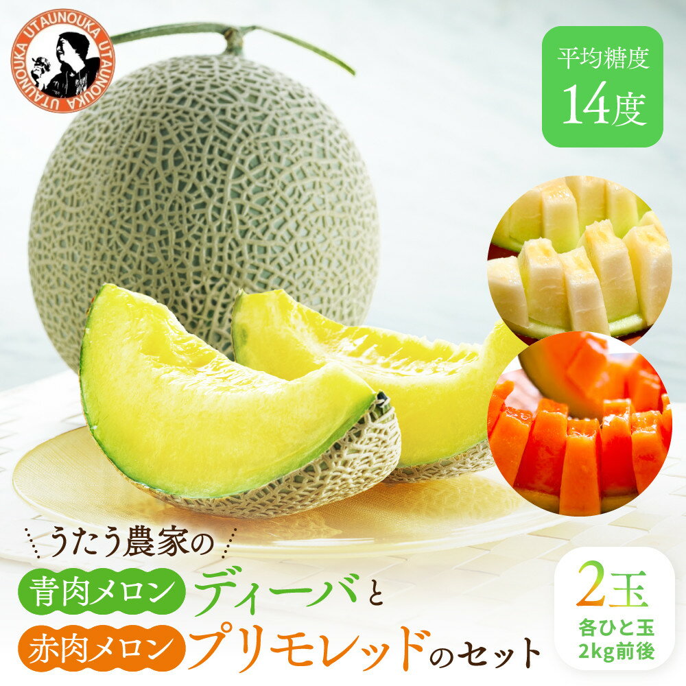 【ふるさと納税】【先行予約】956.【ふるさと納税】青肉メロンディーバと赤肉メロンプリモレッドのセット ※日本全国配送可能 2026年10月上旬頃～11月上旬頃に順次発送予定 | 先行予約 メロン 果物 くだもの フルーツ 旬 甘い 鳥取県 鳥取 北栄町 おすすめ 人気