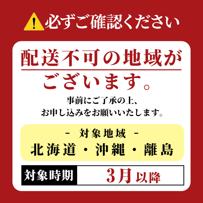 【先行予約】ごほうびいちご（厳選とちおとめ）4パック入り（24～56粒）黒パッケージ いちご イチゴ 苺 とちおとめ フルーツ 果物 くだもの デザート 【hiko farm（ヒコファーム）】 【ho