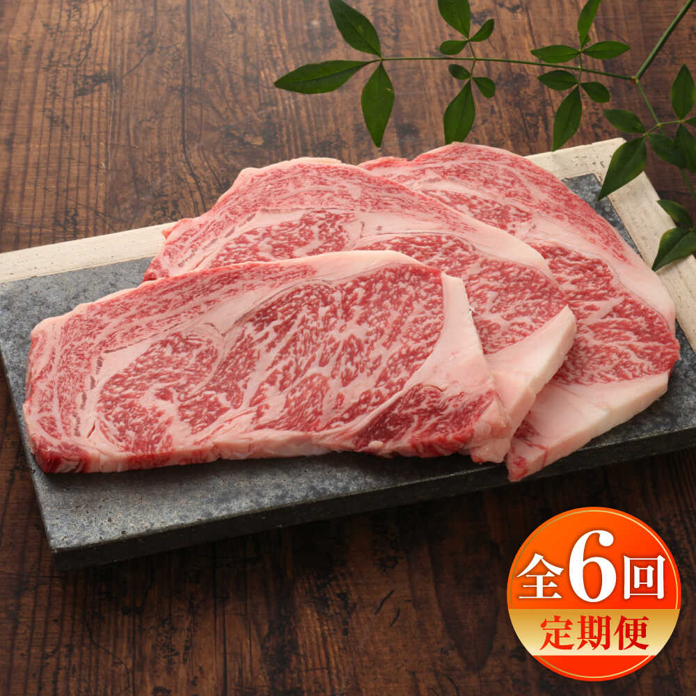 【ふるさと納税】【全6回定期便】【GI認証】くまもとあか牛リブロースステーキ 約200g×3枚 / 菊陽町 あかうし 熊本県 肉 にく niku ブランド 旨み くまもとあか牛 和牛 自社牧場 直接 最高 牛 牛肉 ぎゅうにく ぎゅう肉 冷凍 国産 【有限会社 三協畜産】[BHAS088]