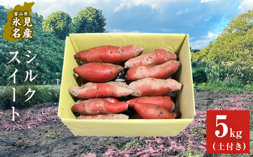 【先行予約】＜シルクスイート＞富山県産 さつまいも 5kg 【2026年12月以降順次発送】 富山県 氷見市 サツマイモ 自然豊か シルクスイート なめらか