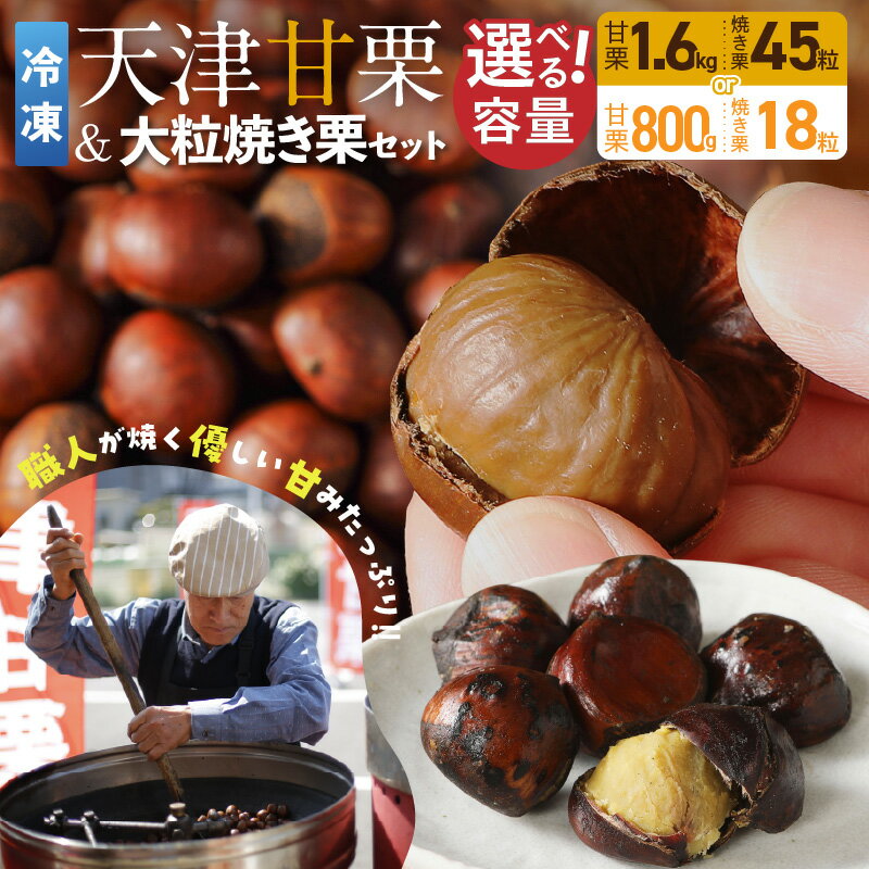 【ふるさと納税】天津甘栗 大粒 焼き栗 セット 選べる 容量 スイーツ お菓子 栗 甘栗 やさしい甘み 焼き立て 乳化剤不使用 着色料不使用 安定剤不使用 冷凍 専門店 衣浦食品 愛知県 碧南市 お取り寄せ 送料無料