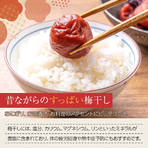 角田市 岸浪園　梅干し 100g×12パック 限定300個