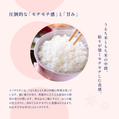 ふるさと納税 下呂市 【2025年産】スノウリボン(ゆきむすび)5kg×1袋 米 精米【13-53】 |  | 01