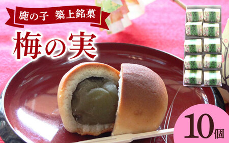 【老舗の菓子屋】築上銘菓「 梅の実 」10 個【有限会社 御菓子司 鹿の子】 [ABAC018]