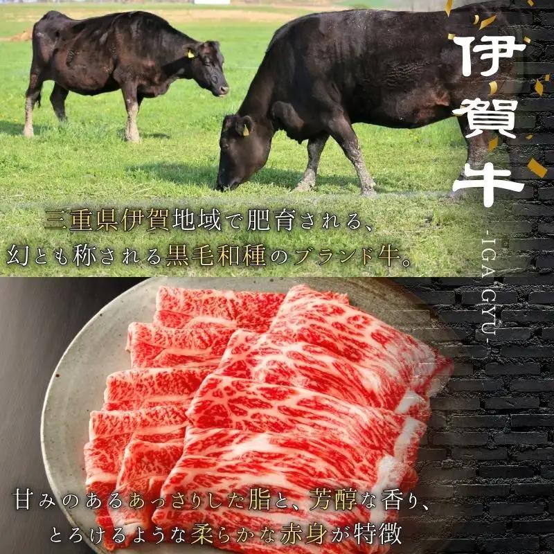 伊賀牛 ヒレ 焼肉 600g 伊賀牛【gzit0004】