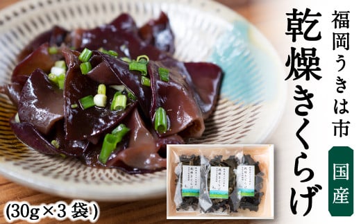 うきはきくらげ研究会 乾燥きくらげ (30g×3袋) きくらげ うきは市