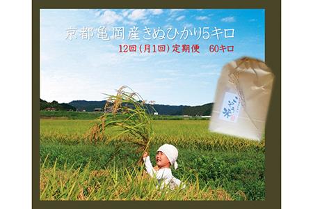 【緊急支援品】【12回定期便】京都・亀岡産 きぬひかり 「こぞう米」 5kg ×12回（毎月お届け）合計 60kg※北海道・沖縄・離島への配送不可《米 訳あり コロナ支援 令和4年産 大人気お米 人気