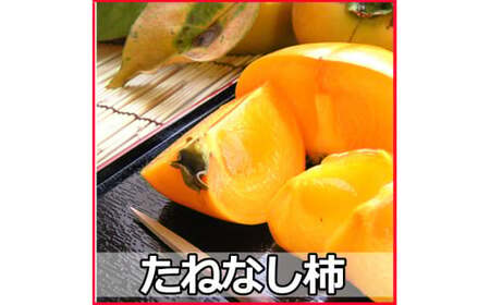 タネなし脱渋甘柿（刀根早生）　3Ｌサイズ28個入7.5kg箱【art021】